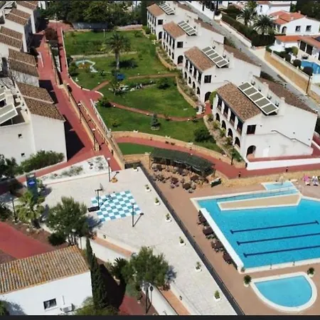 Alfas Oasis-2