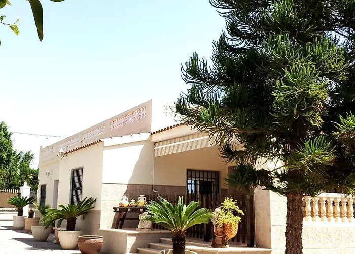 Elche Alicante ideal familias Piscina Barbacoa